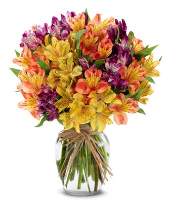 The Cheerful Bouquet