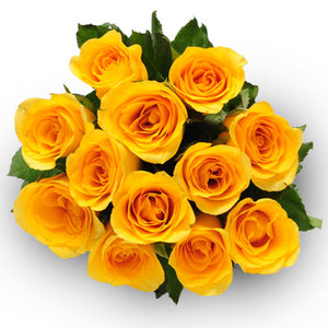 Just Friendship - Send Flowers Online