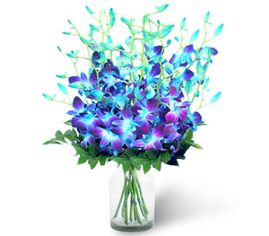 Majestic Dream - Send Flowers Online