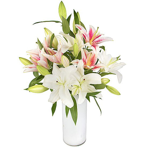 Love Lilies