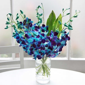 Blue orchid - online flower delivery in Hyderabad